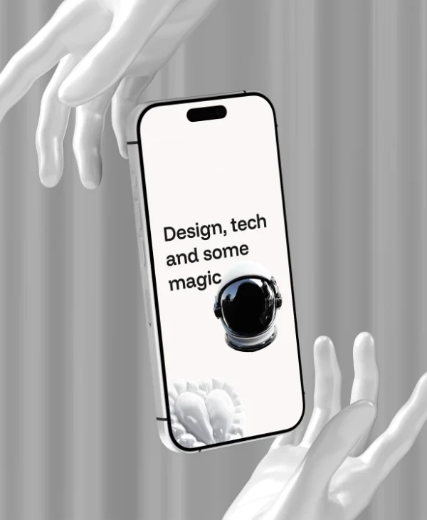 Project Preview